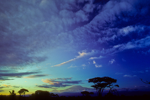 Kilimanjaro at Sunrise, from Amboseli