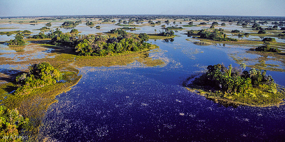 The Okavanga Delta - A Sea of Islands