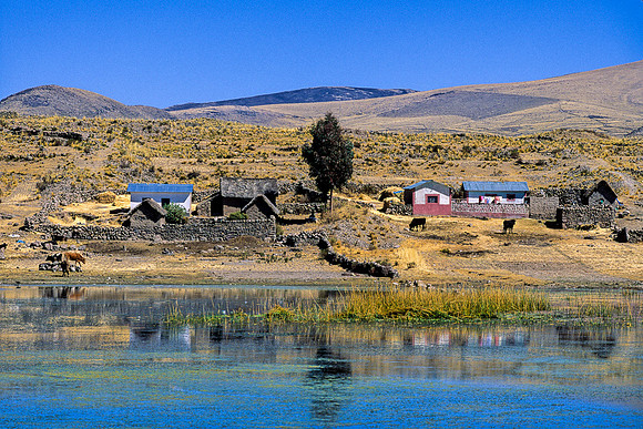 Farm north of Pomata
