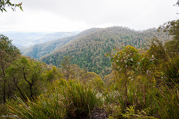 View to the lowlands, Barrington Tops National Park