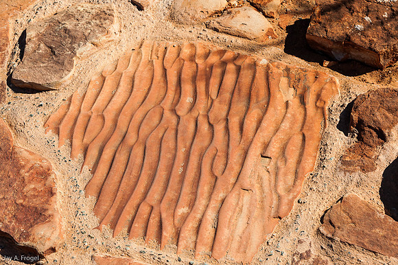 Petrified ripples from water on sand