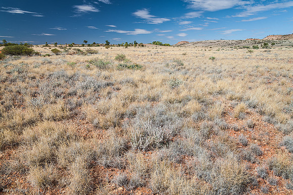 One of the Henbury Meteor Craters on the horizon