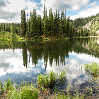 Horseshoe Lake Trail, Denali Visitor Ctr