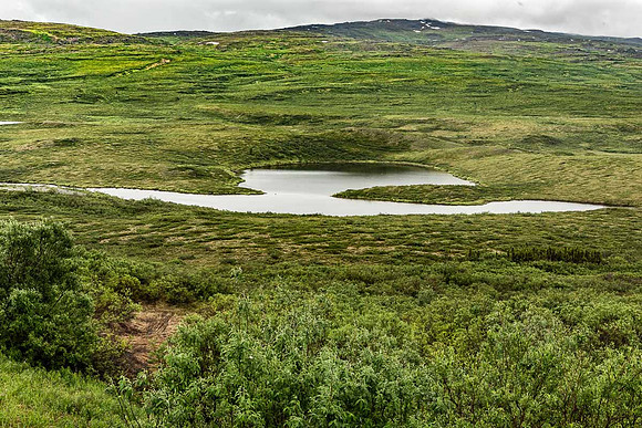 Octopus Lake