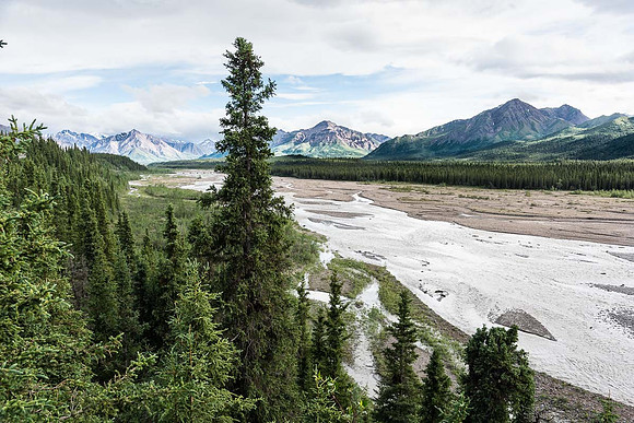 Teklanika River, Denali Nat'l Park