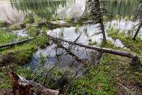 Horseshoe Lake, Denali Visitor  Ctr