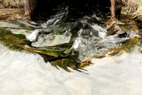 At Porter Marsh