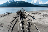 Driftwood, Twentymile River