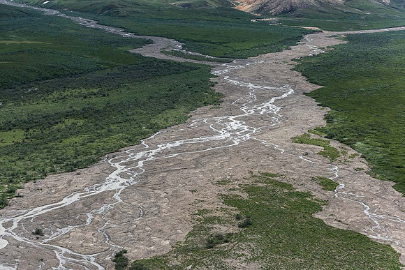 From Polychrome Overlook, Denali Nat'l Park