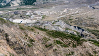 Erosion Gullies and Downed Trees, Mt St Helens