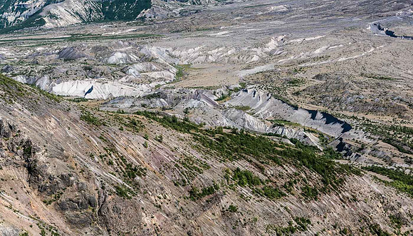 Erosion Gullies and Downed Trees, Mt St Helens