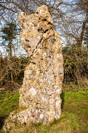 Another of the 'King's Men', Rollright Stones