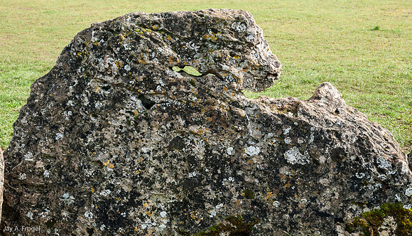 Yet another of the 'King's Men', Rollright Stones