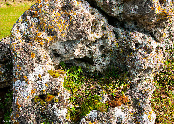 One of the Whispering Knights, Rollright Stones
