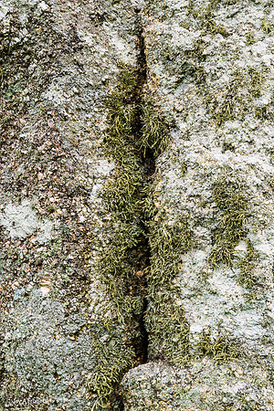 The Pipers, North Stone