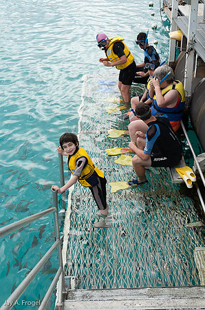Leah feeding fish, Lady Musgrave Island, the Great Barrier Reef