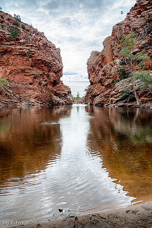 Ellery Creek Big Hole, West MacDonnell National Park