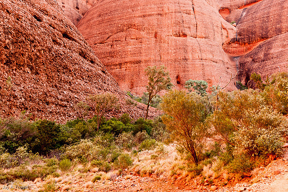 Valley of the WInds Walk, the Olgas
