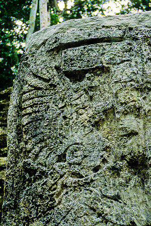 Calakmul   - Structure 5 - Detail of stela