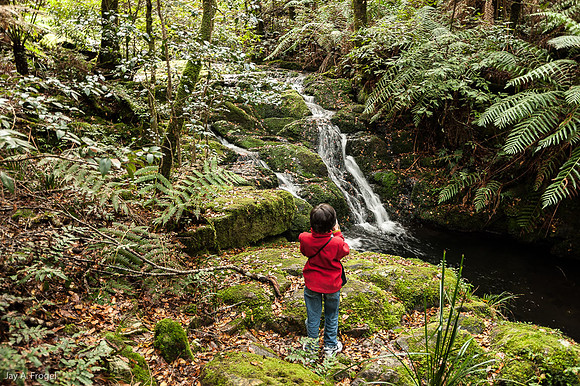 Leah at Waterfall in Barrington Tops National Park