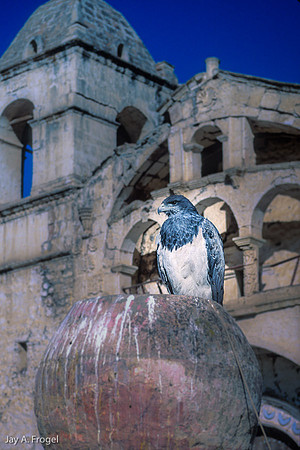 Eagle and Church, Chivay