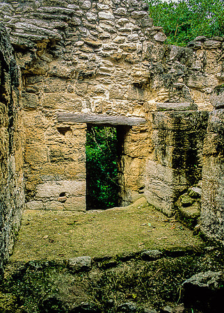 Calakmul   - Structure 3 - doorway with wooden lintle