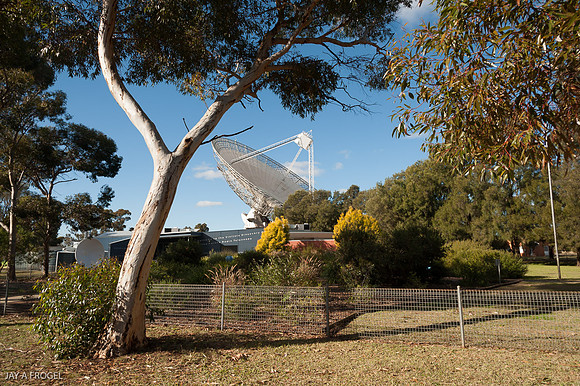 The Dish at Parkes