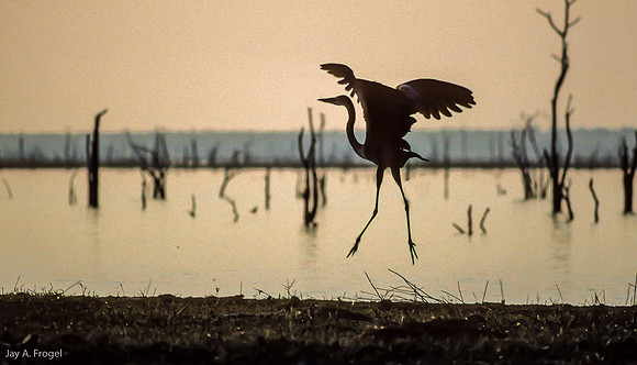 Lake Kariba, Sunset