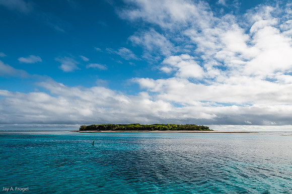 Lady Musgrave Island, The Great Barrier Reef