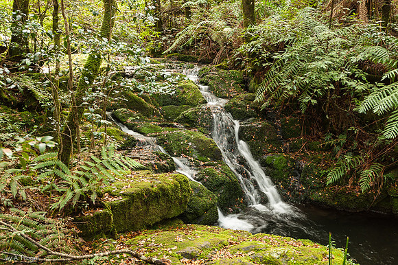 Waterfall, Barrington Tops National Park