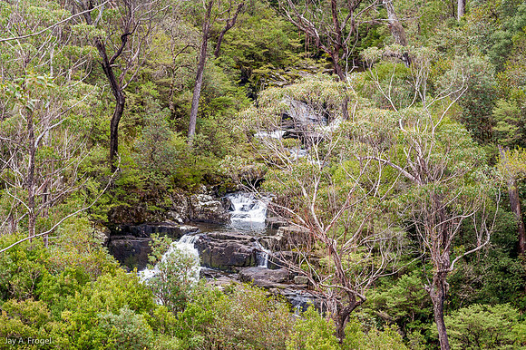 Waterfall, Barrington Tops National Park
