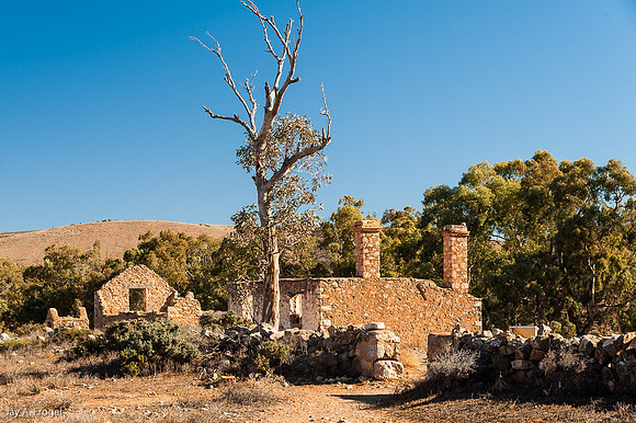 Ruined building, Kanyaka Homestead