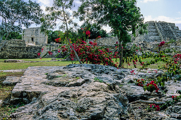 Mayapan - Flowers and stone buildings