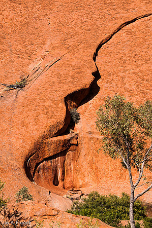 Exfoliation on Uluru