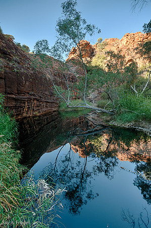 A sacred water hole, Kathleen Springs