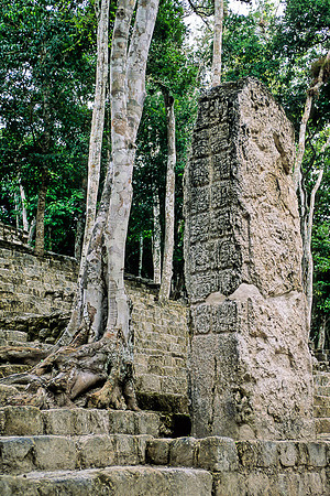 Calakmul   - Structure 13 - Stela on steps
