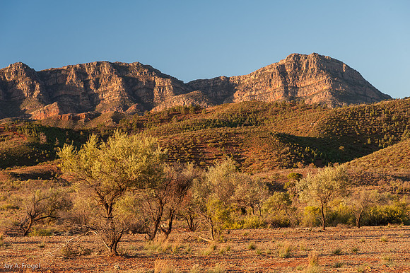 Looking east at sunset towards the west rim of Wilpena Pound from Moralana Scenic Drive