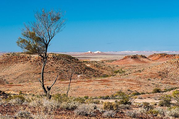 At the Breakaways near Coober Pedy
