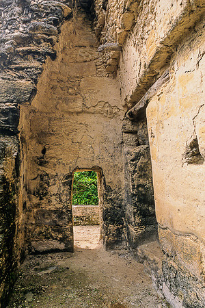 Calakmul - Structure 3, arched and plastered passageway