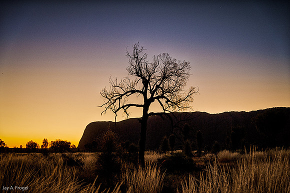 Uluru, grass, and tree at end of the day