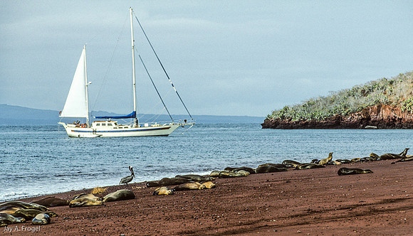 My Boat in 1993, The Resting Cloud, Isla Rabida