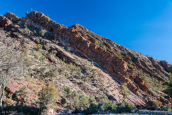 Tilted rocks along the Brachina Gorge Road