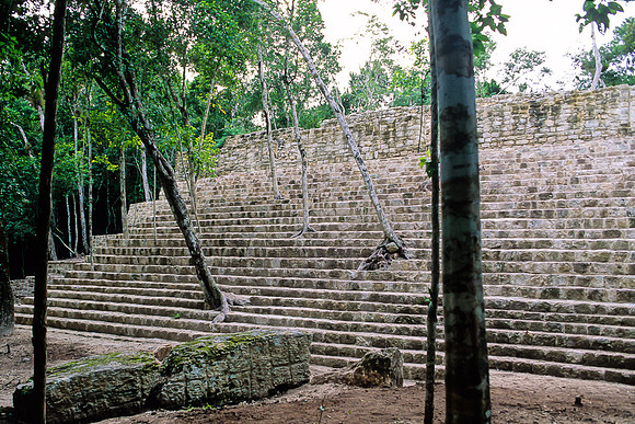 Calakmul   - Structure 14 - steps going up, fallen stela