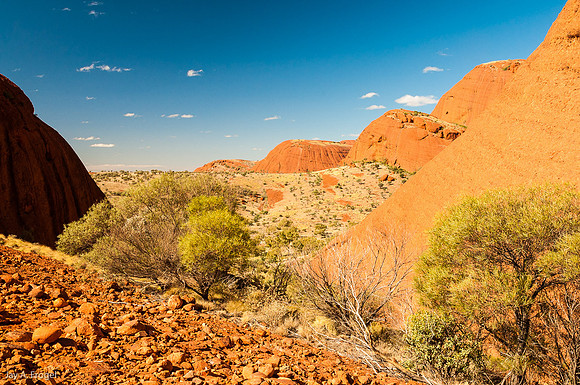 Valley of the WInds Walk, the Olgas