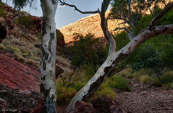 Valley of the WInds Walk, the Olgas