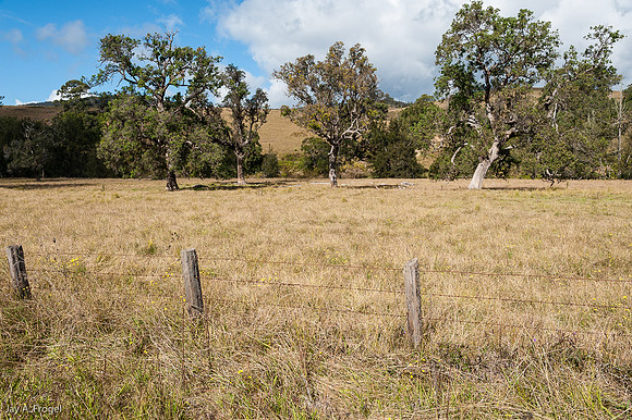 Landscape near Berrico