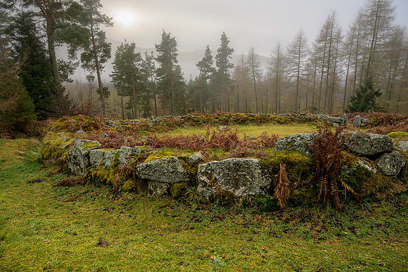 Pictish Ring Fort, Allean Forrest