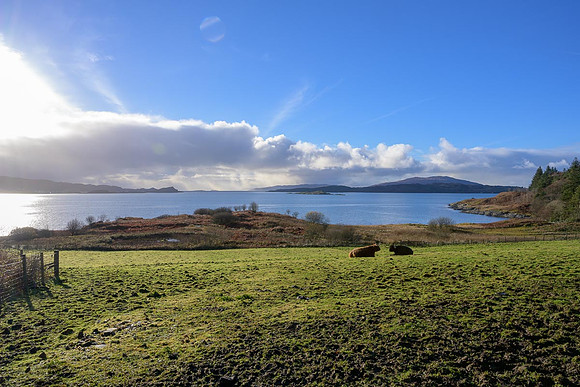 At Arduaine Gardens