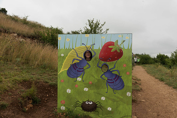 Susana, Micropolis
