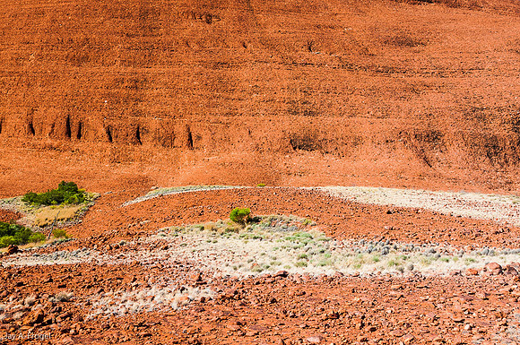 Spinifex and bushes, Olga Gorge Walk